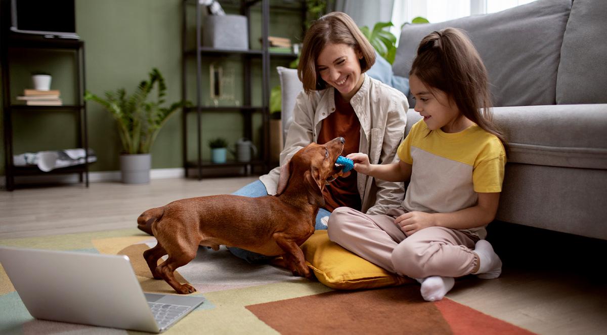 eco friendly luxury services for your mountain home